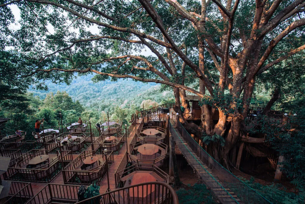 The Giant Treehouse Chiang Mai