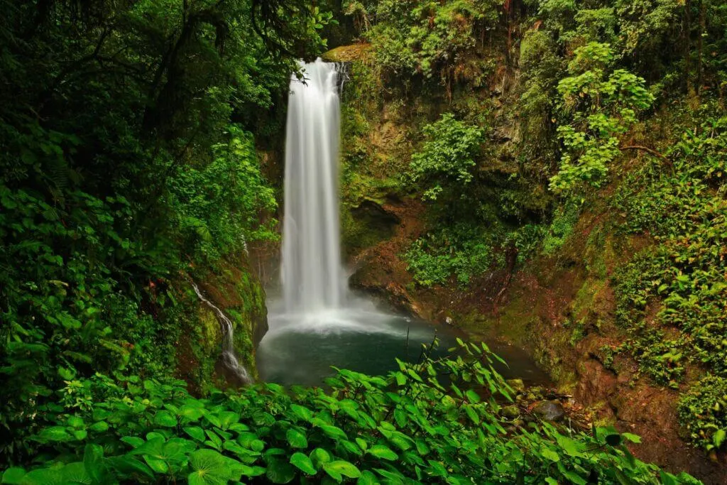  unique thing to do in  San Jose Costa visit La Paz Waterfall Gardens