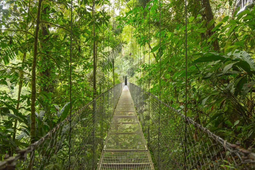 beautiful jungles of Costa Rica trqavel destination