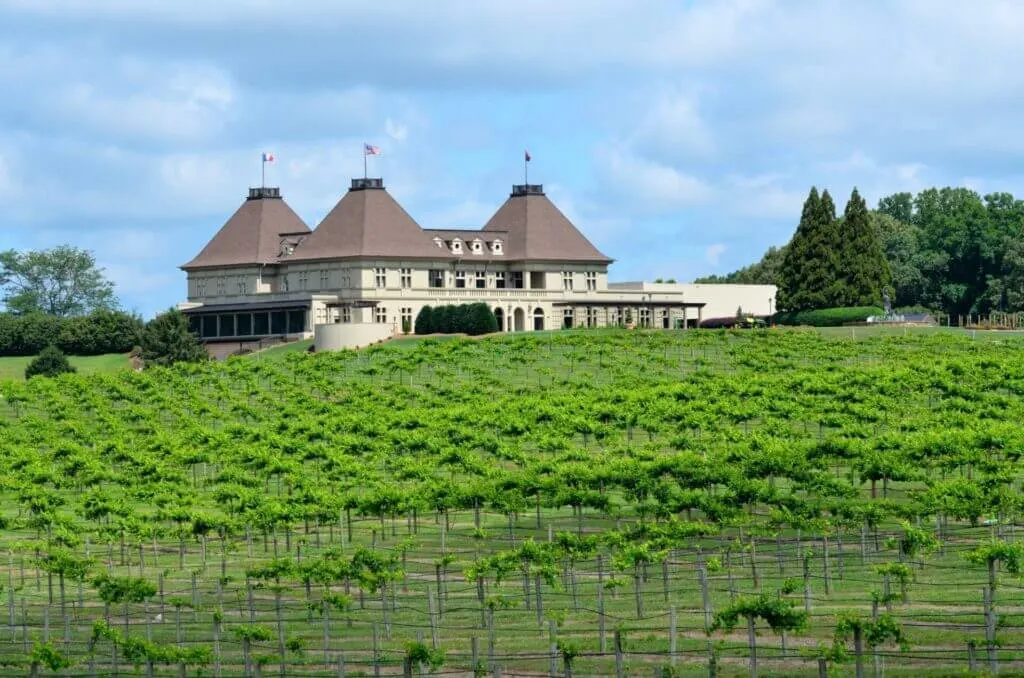 A vineyard in North Georgia Mountains, perfect for one of the fun things to do in Atlanta for couples on a day trip