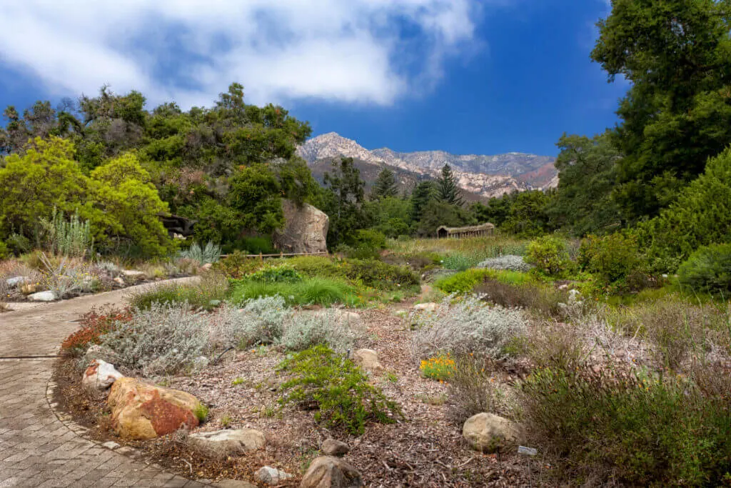 visit the Botanical Gardens in Santa Barbara