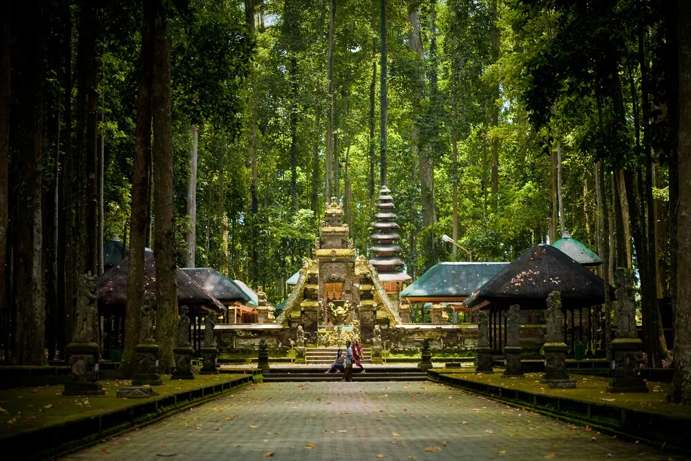 Sangeh monkey forest bali