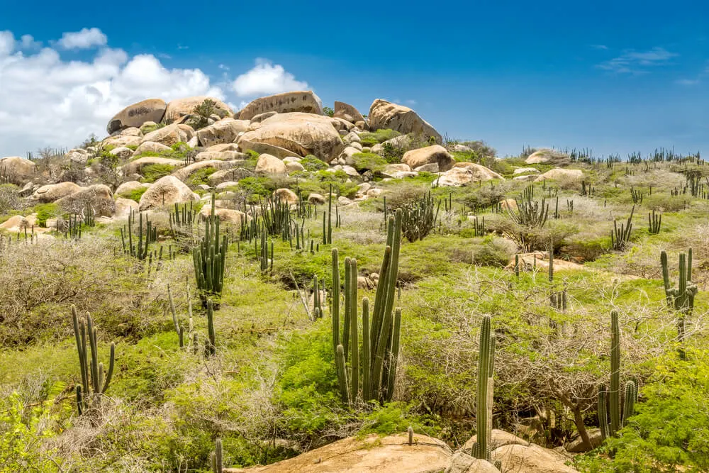 Ayo Rock formations and cacti in Arikok national park Aruba
