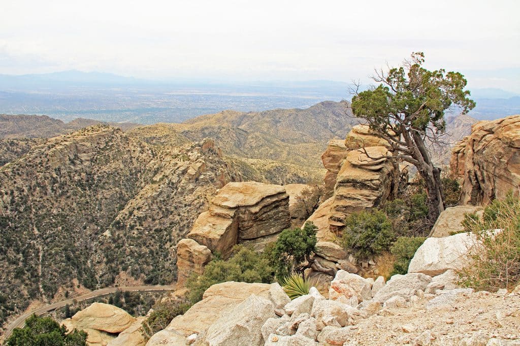 Mount Lemmon towards Tuscon - a totally different vibe!