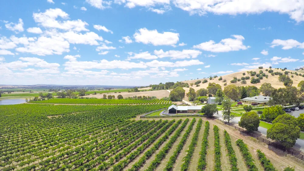 Barossa Valley Winery Restaurants South Australia