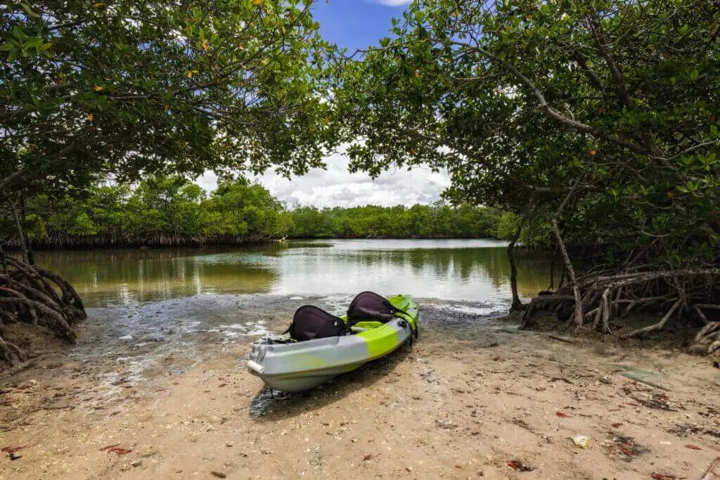 Kayak sitting on the shore of a mangrove in Oleta State Park, fun Miami date idea and thing to do for couples