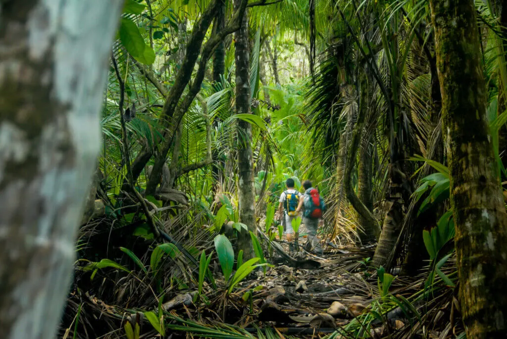 Two hikers enjoying hiking in Corcovado National Park, Costa Rica 