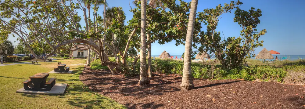 Clear sky in Lowdermilk Park Beach in Naples, Florida
