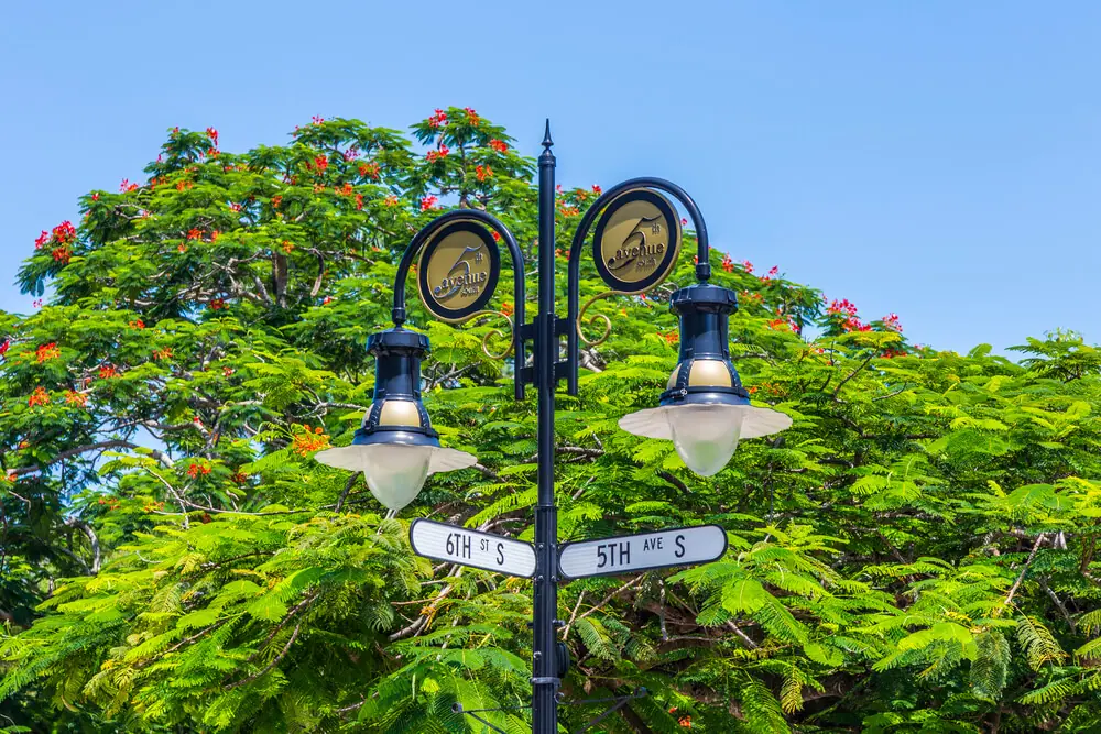 Shopping on 5th Avenue South in Naples Florida is one of the best things to do