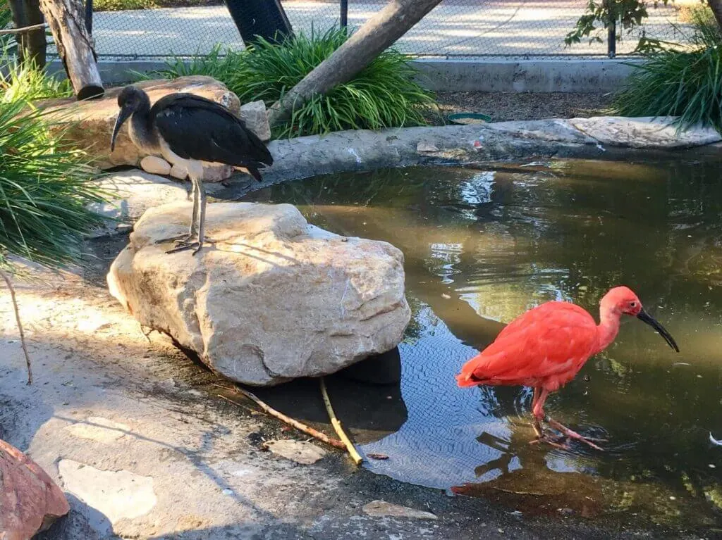 Tracy Aviary Park Salt Lake City Secret Spots