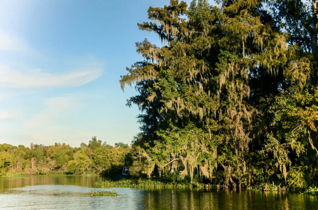 Louisiana Bayou march kayak fishing in the usa