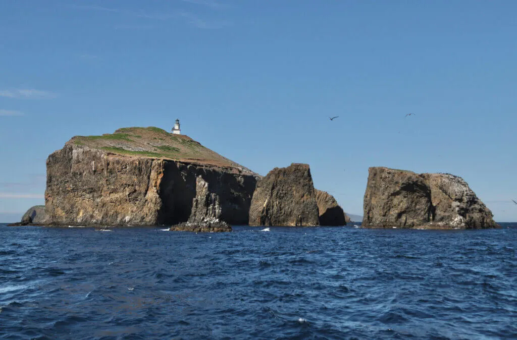 Fun things to do in Santa Barbara: visit the Channel Islands on a day trip