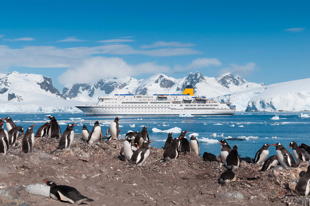 Antarctica cruise 