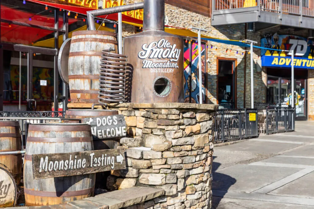 fun in Pigeon Forge, go on the Gatlinburg moonshine and wine tasting tour