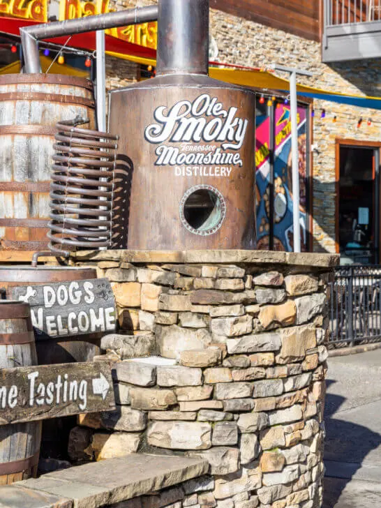 unique things to do in Pigeon Forge Tennessee