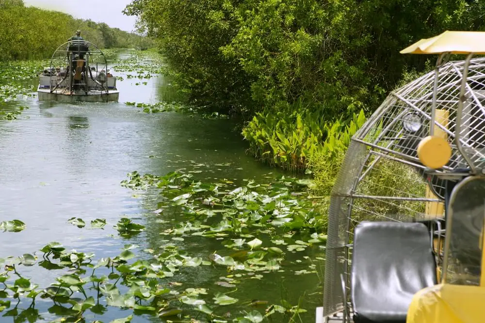 Evergades national park florida airboats tour