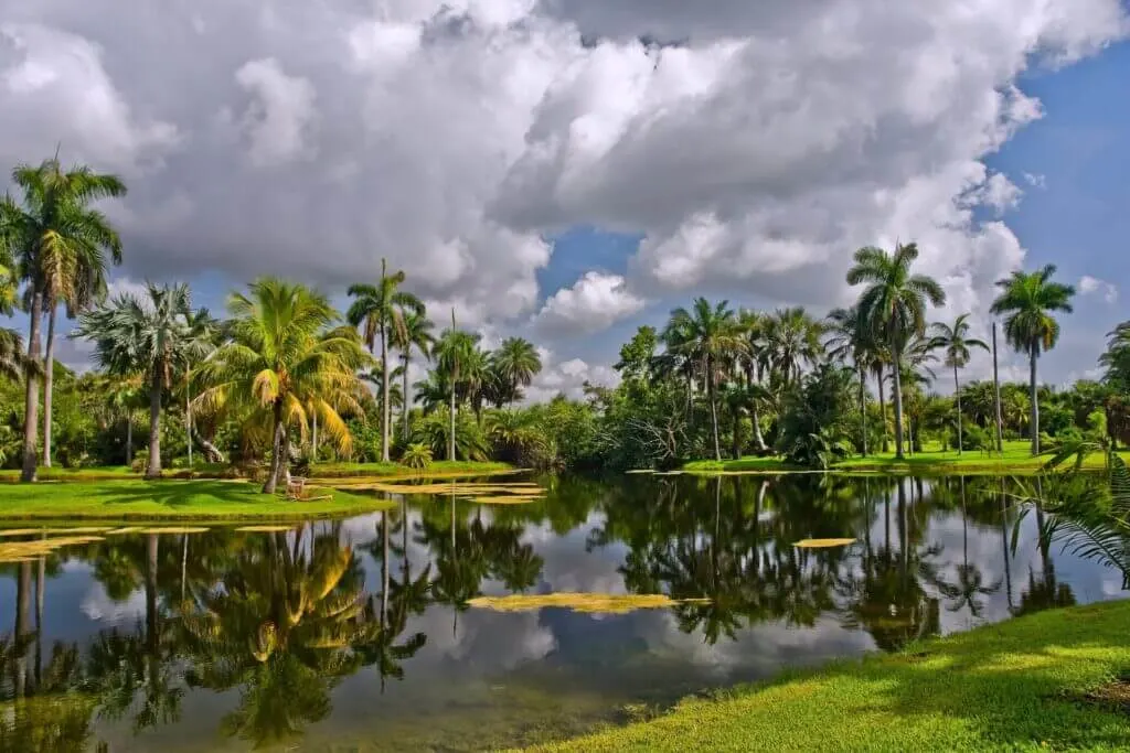 View over the Fairchild Botanical Gardens