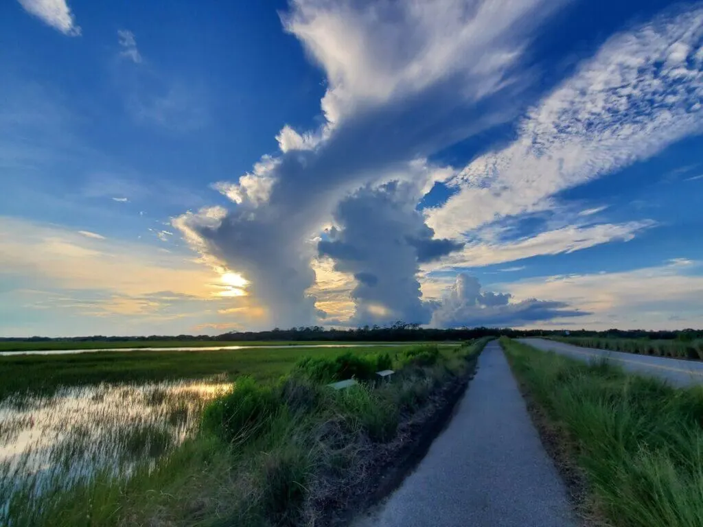 path along Kiawah Island South Carolina near marches and wetlands in the lowcountry