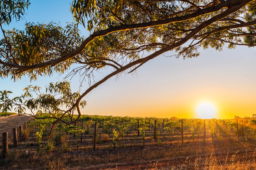 Adelaide as a winter place to go in Australia