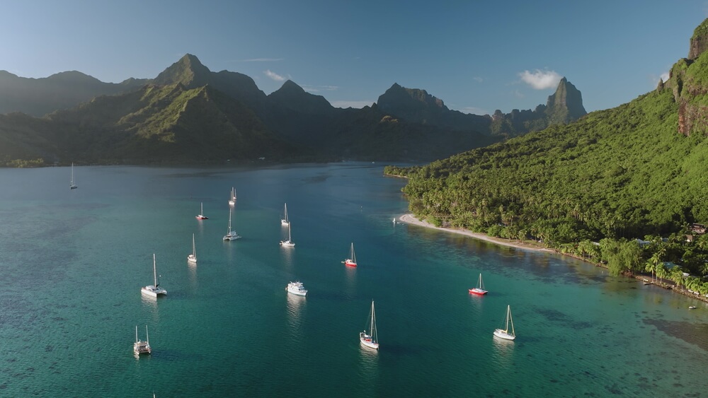 Many yachts in Opunohu bay, Moorea island in French Polynesia