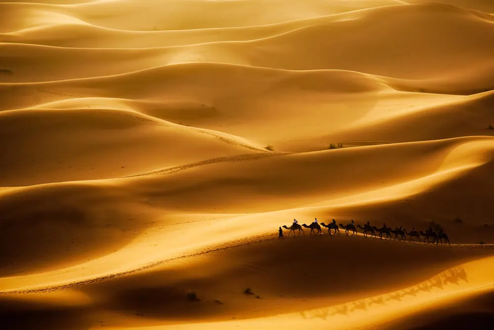 Erg Chebbi Morocco camel desert caravan