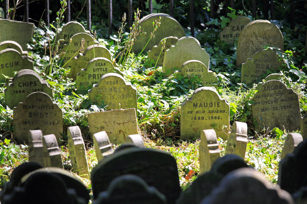 Hyde Park Pet Cemetery
