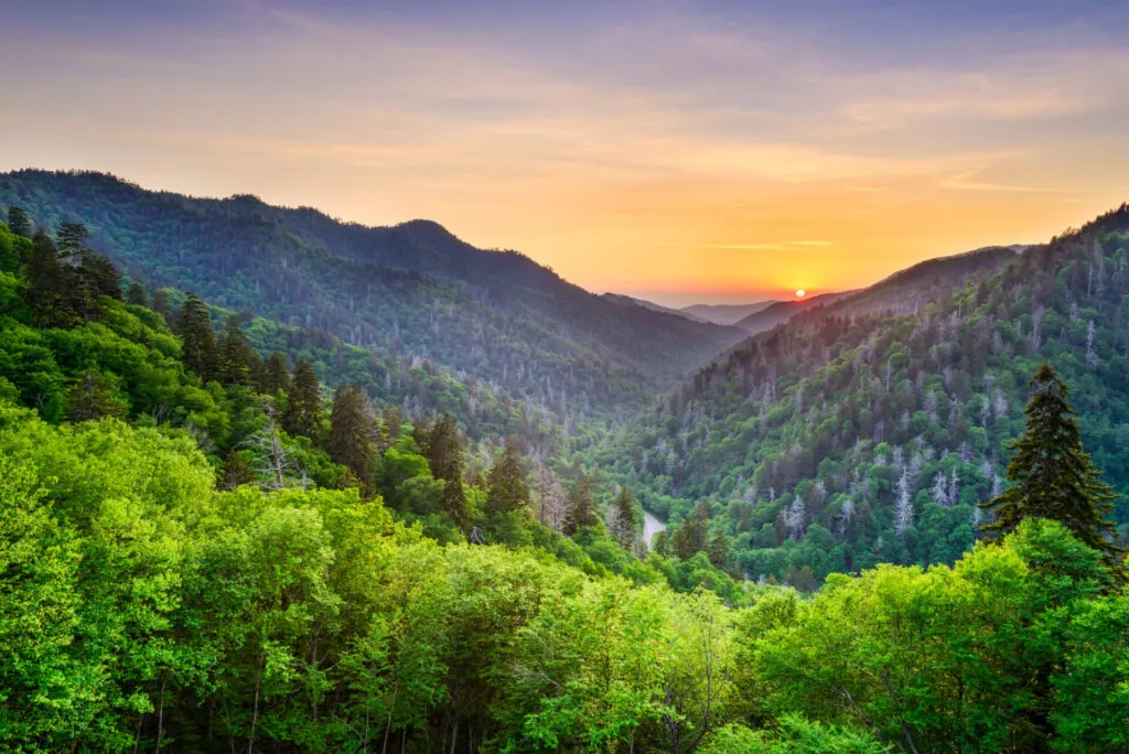 View of the Smoky Mountains at the Great Smoky Mountains National Park