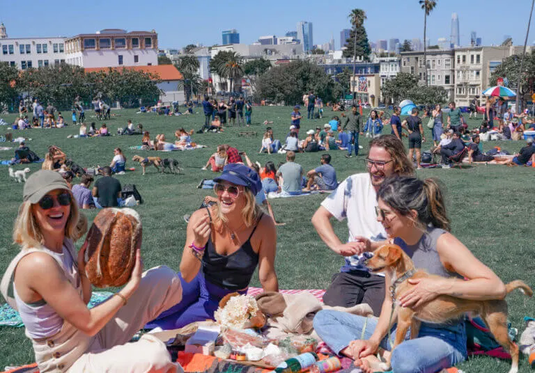 Amazingco Rewviews - mystery picnic experience