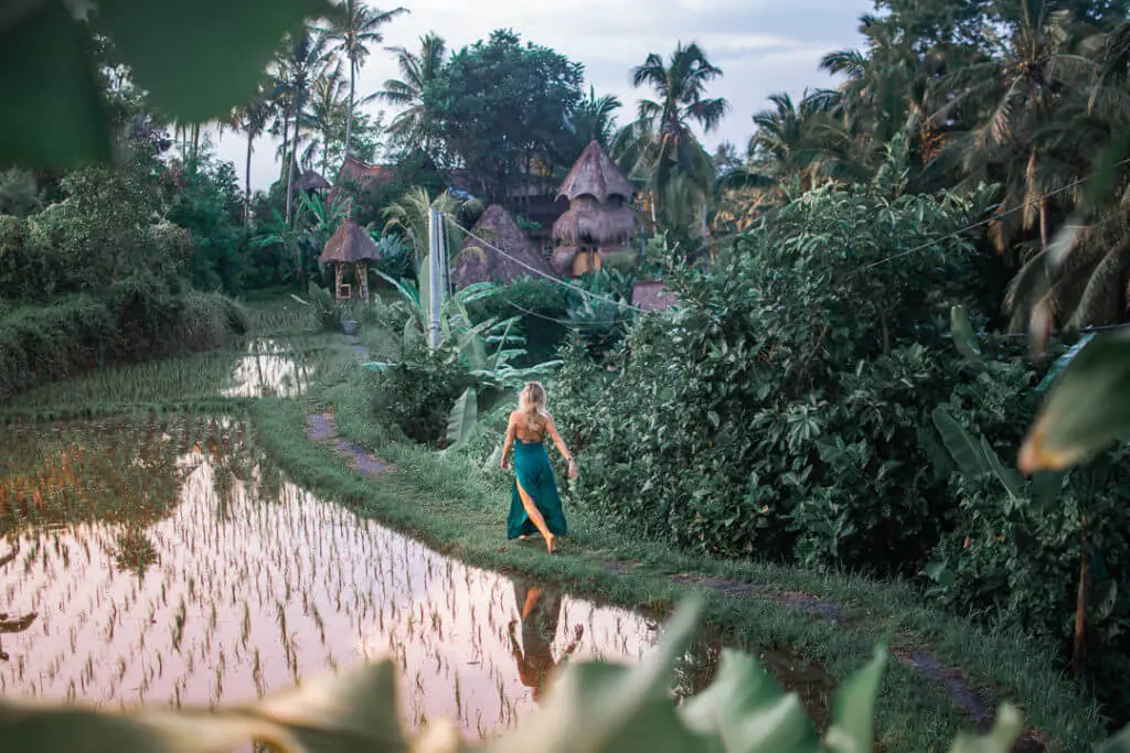 Firefly bamboo eco villa bali