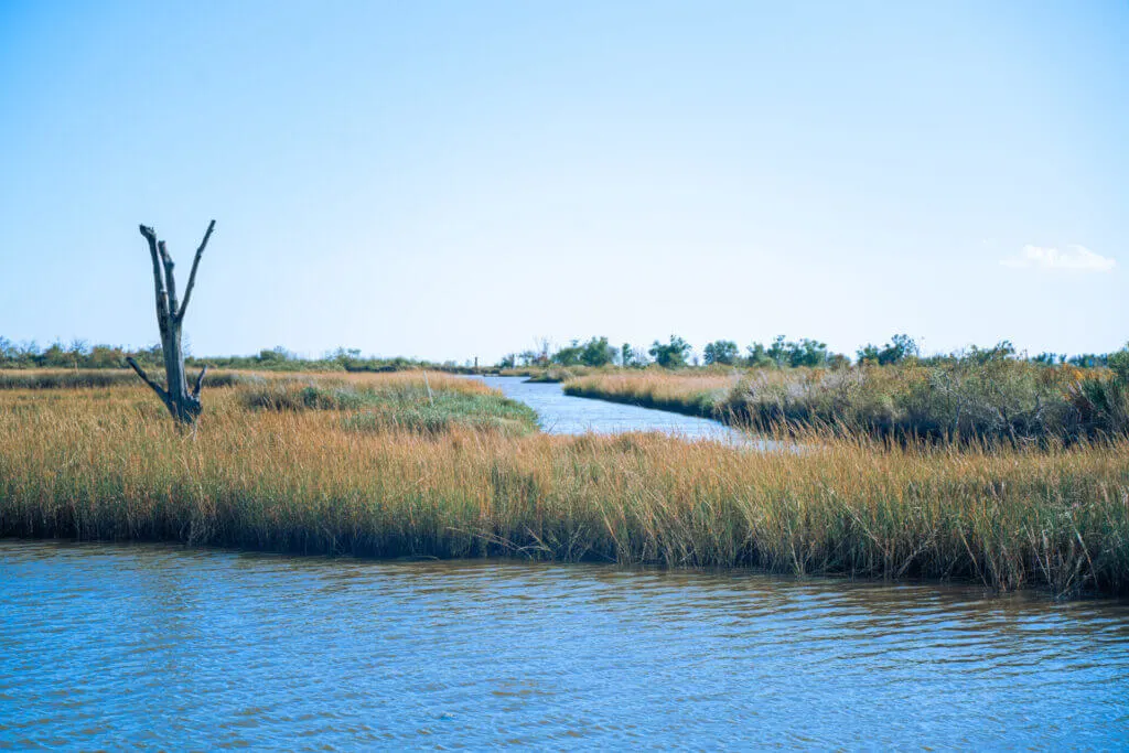 views from PAC kayak rental in point aux chenes houma la