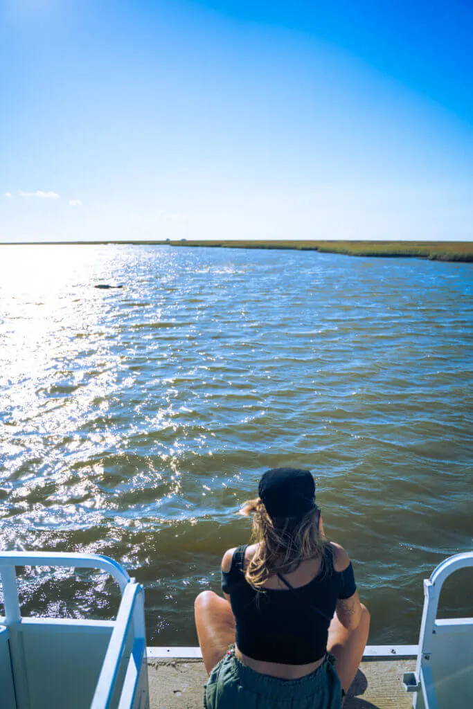 looking for bottlenose dolphins in houma LA 