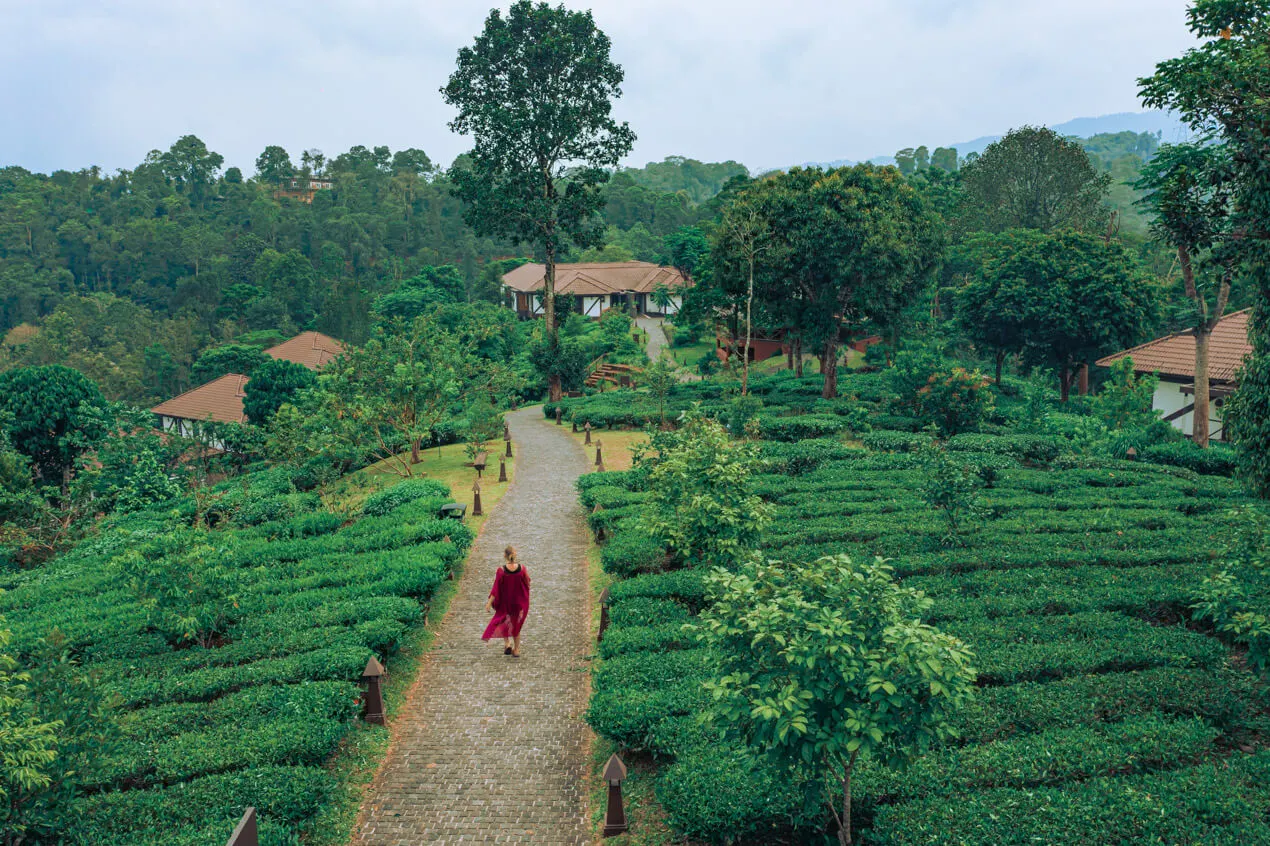 Best ayurveda resorts in Kerala