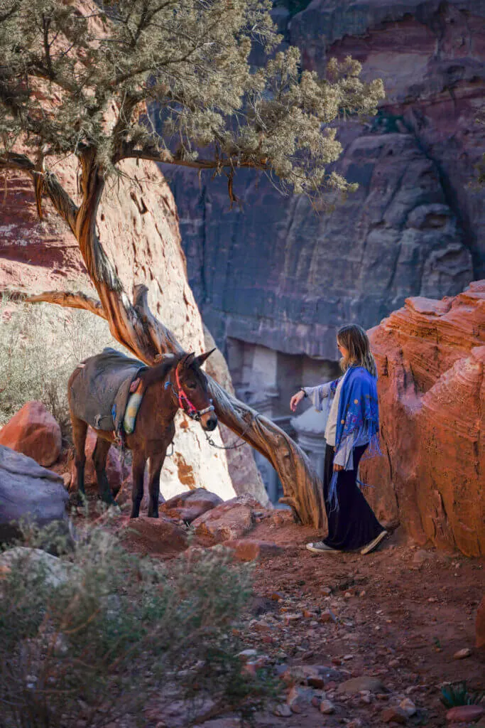 solo travel to Jordan Petra