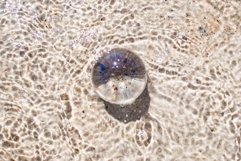 how to use a lensball with water