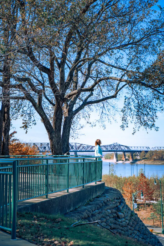 Best views in Memphis Butler Park
