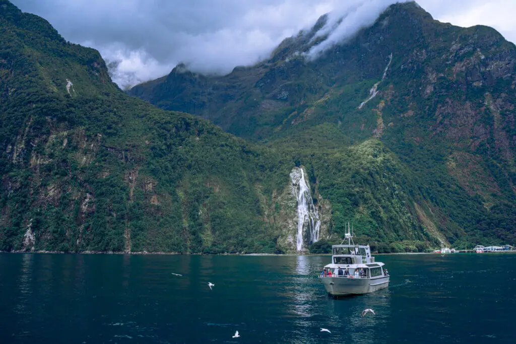 Milford sound boat cruise flight tour