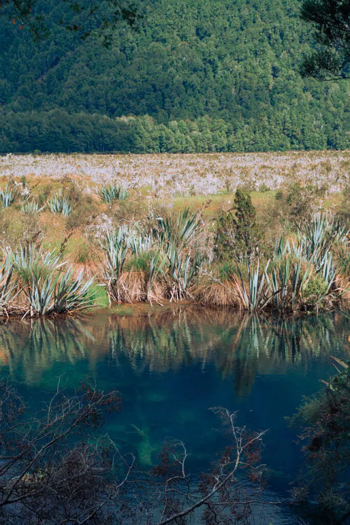 Mirror Lakes milford sound drive stop