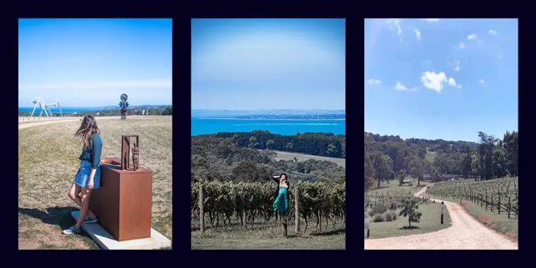 15 top mornington peninsula wineries, and why you should visit them! Organized by wineries of the mornington peninsula that are great for families, great for a fancy lunch or cellar door wine tasting, and most accessible from Melbourne.