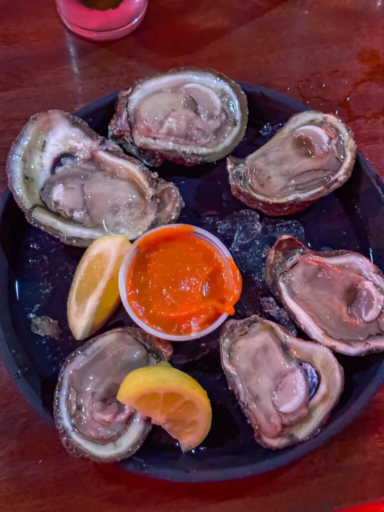 oysters in new orleans 