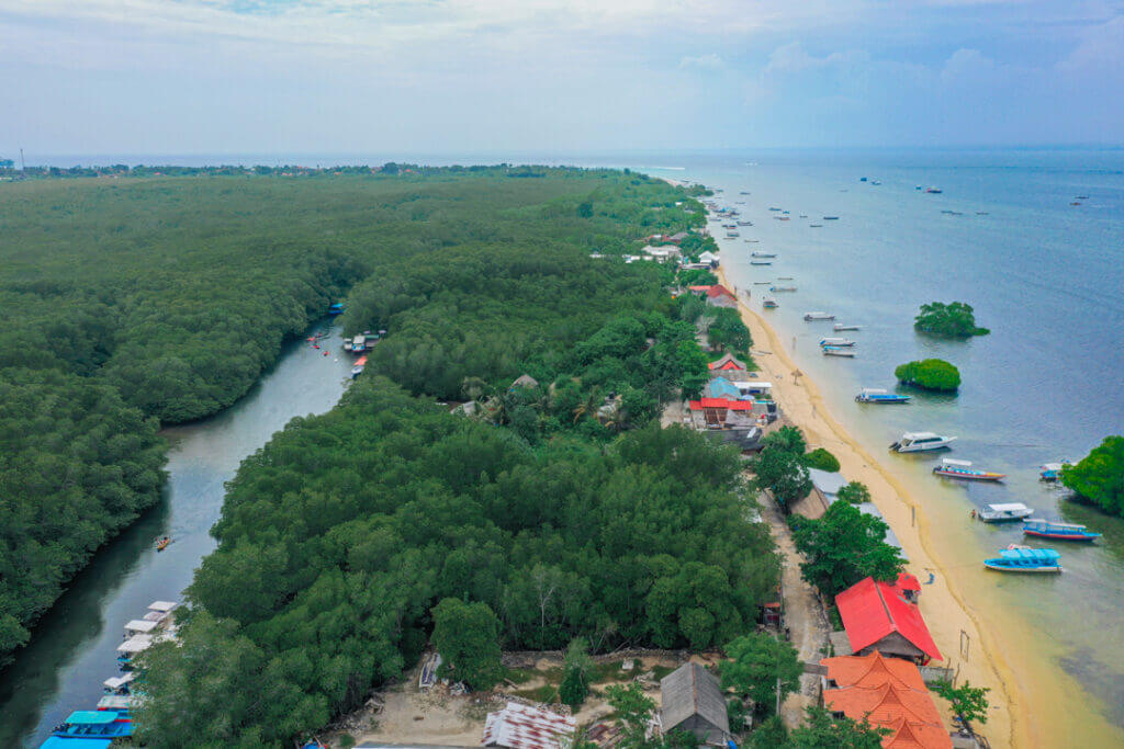 mangrove point and mangrove forests nusa lembongan