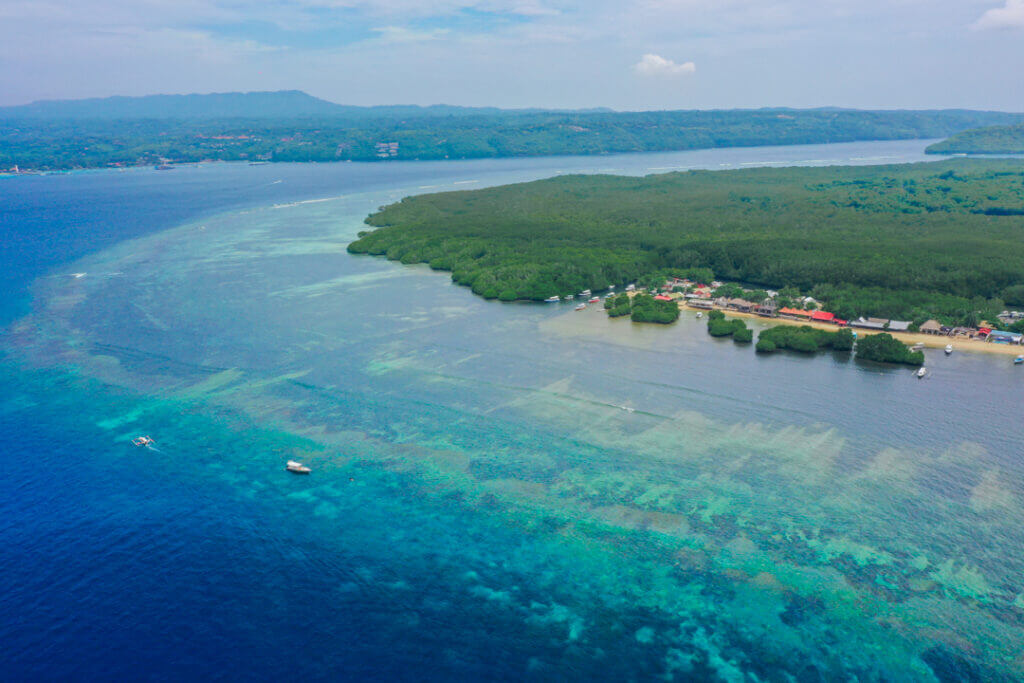 Mangrove point snorkeling reef