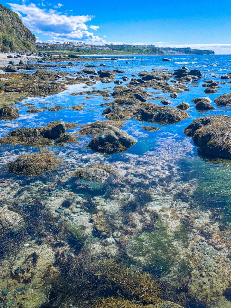 laguna beach tide pools orange county