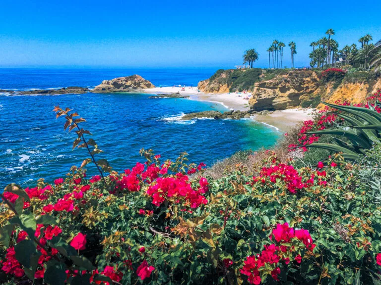 fun things to do in Orange County