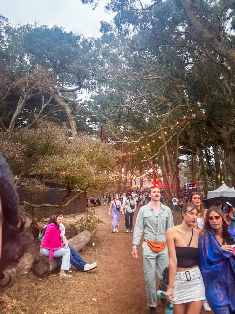 tree pathways at golden gate park san francisco