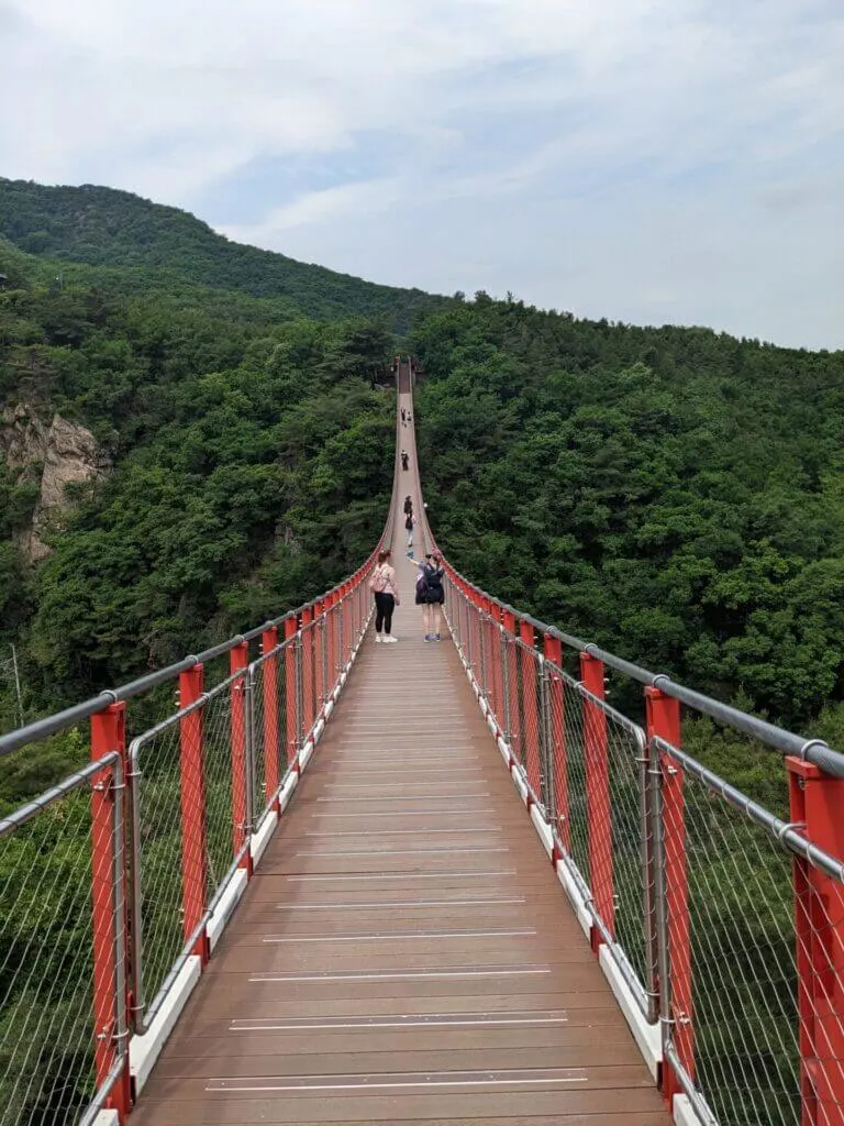 Suspension bridge on South Korea DMZ tour 10 day South Korea itinerary