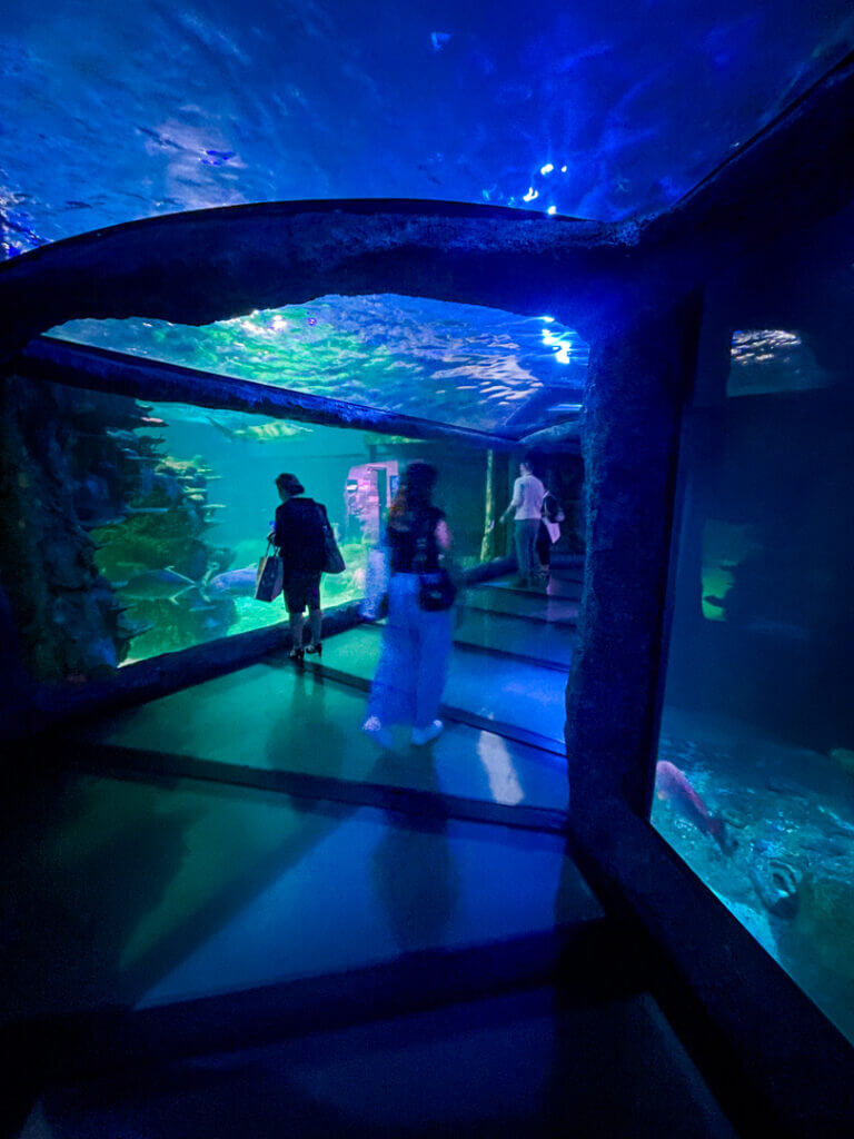 Sydney Sea Life Aquarium