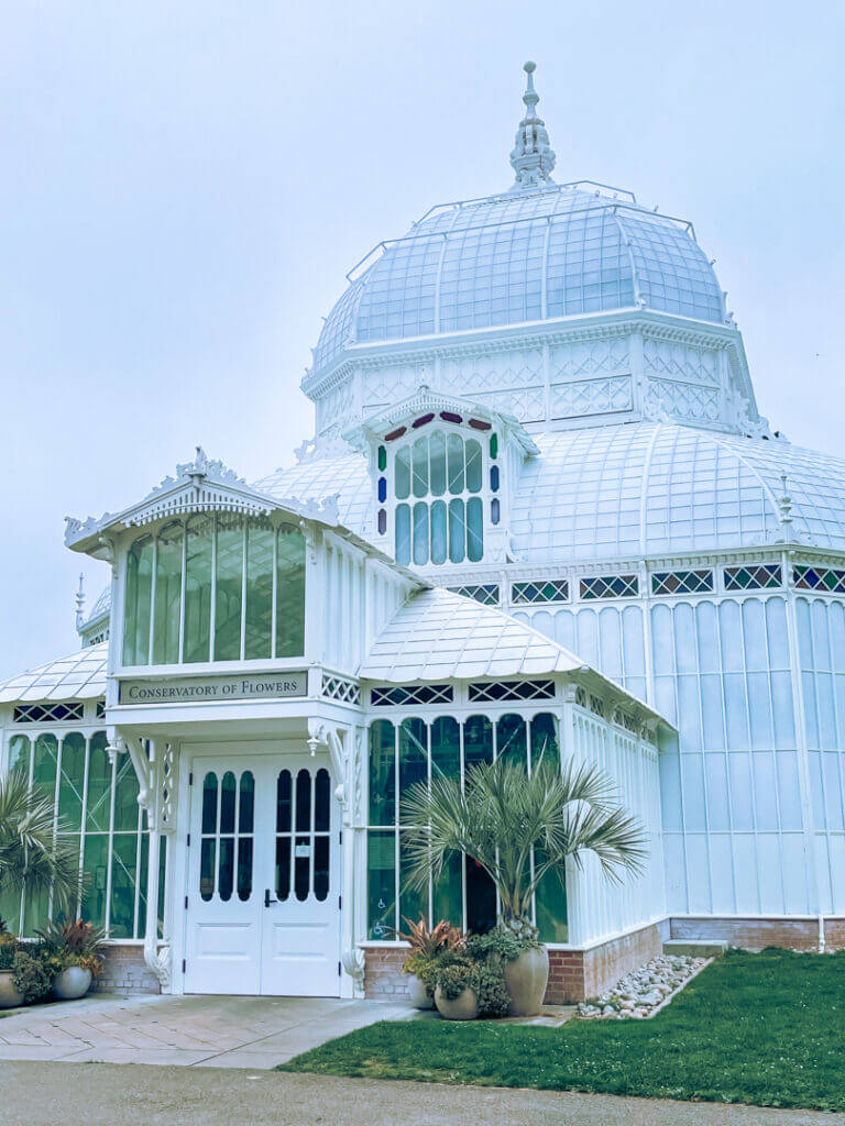 Escape Into the Conservatory of Flowers on a rainy day in SF
