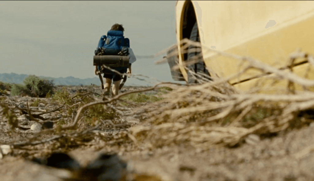 Into the wild travel movies on netflix