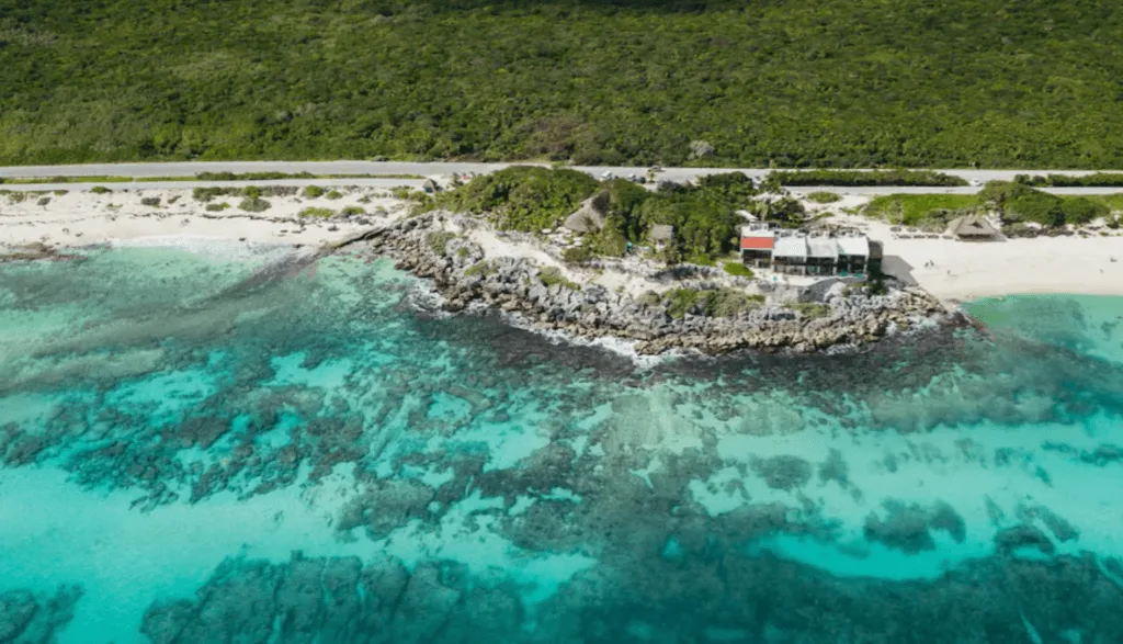 Ventanas al Mar Boutique hotel cozumel east coast neat coconuts bar