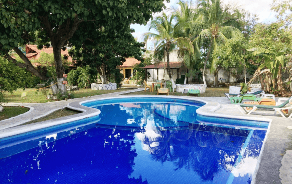 Amigos Hostel Cozumel Island Mexico